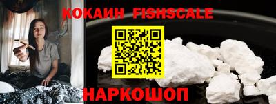 дживик Можга