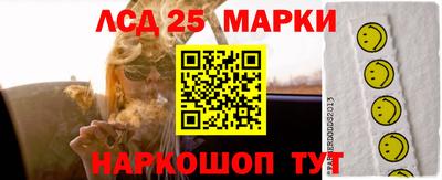 крисы Моздок