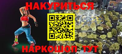 крисы Моздок