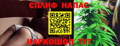 крисы Моздок