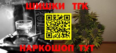 крисы Моздок