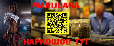 крисы Моздок