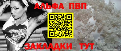 крисы Моздок